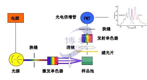 分子熒光結構圖-博精科技